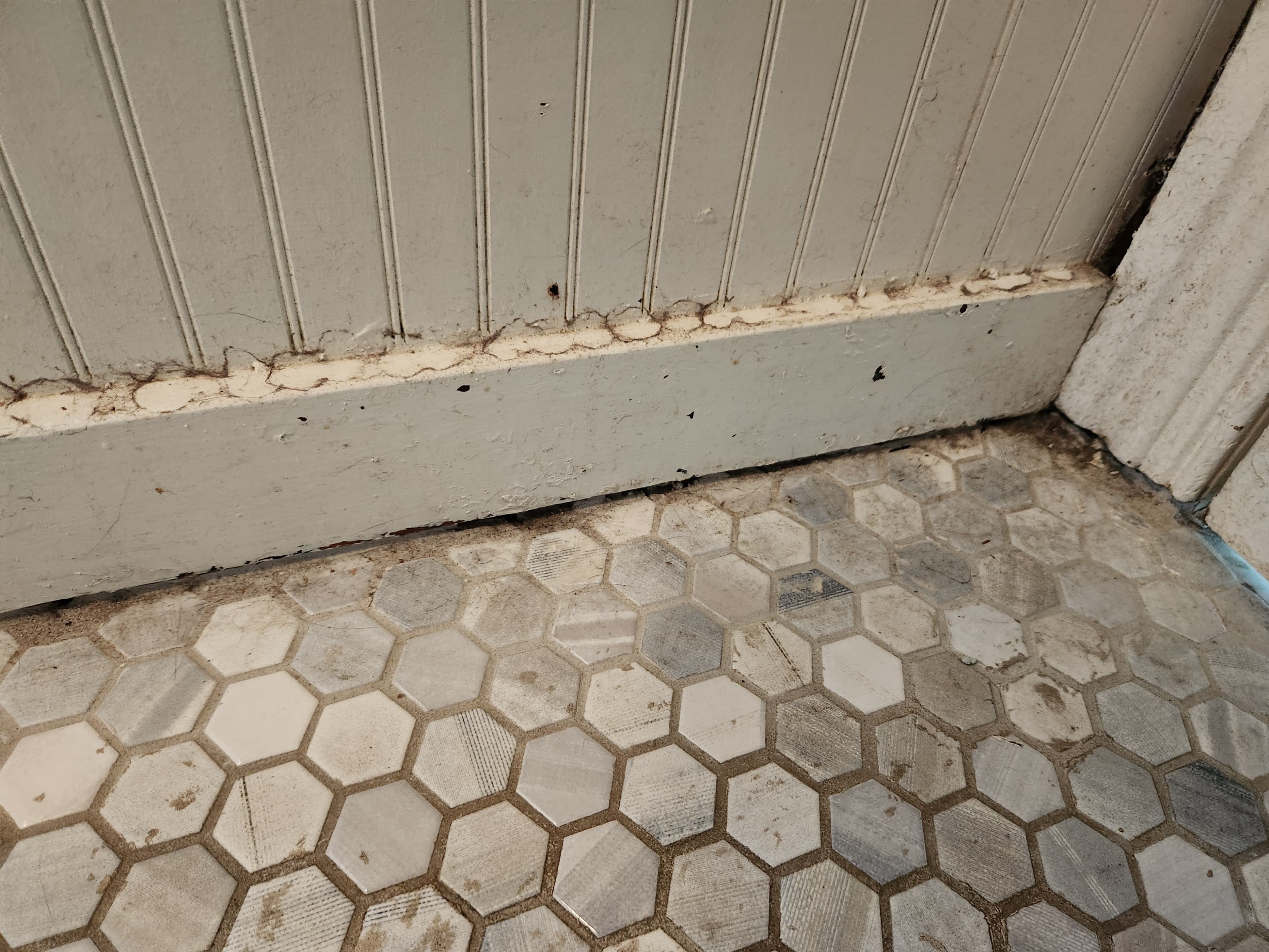 White beadboard wall and baseboard meeting a gray and white hexagonal marble tile floor.
